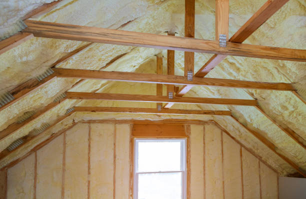 Best Residential Insulation in Dublin, GA