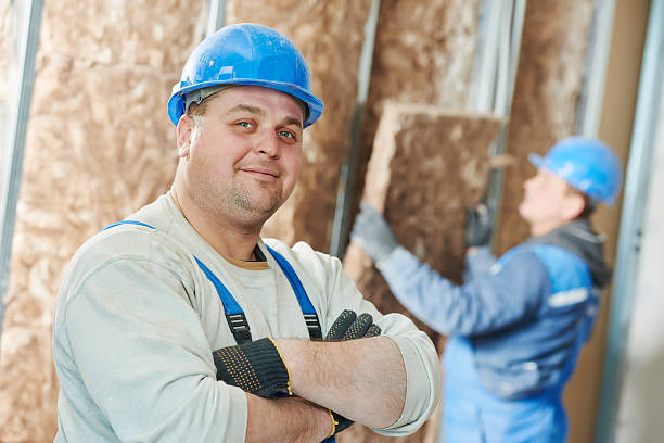 Best Insulation Installation Services in Dublin, GA